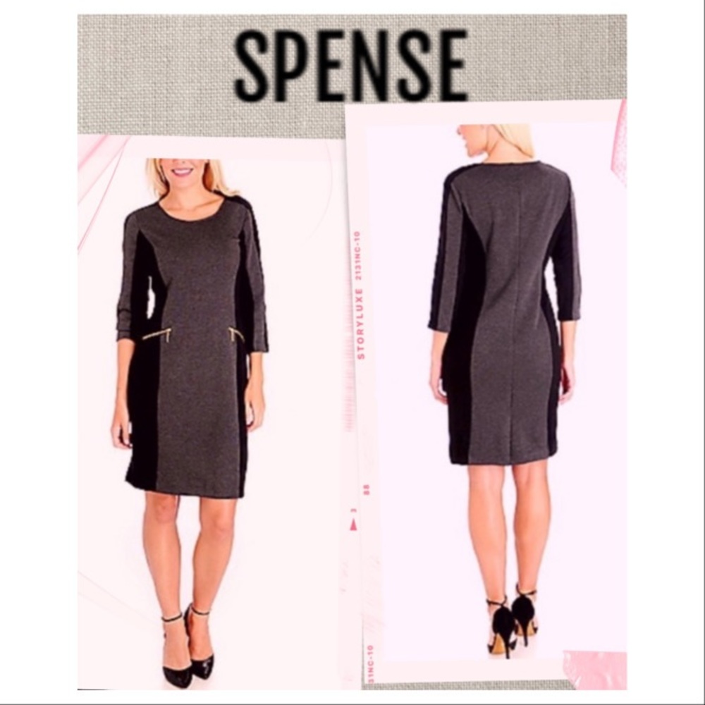 Flash Sale NEW Spense Dress slimming colorblock dress Size 4